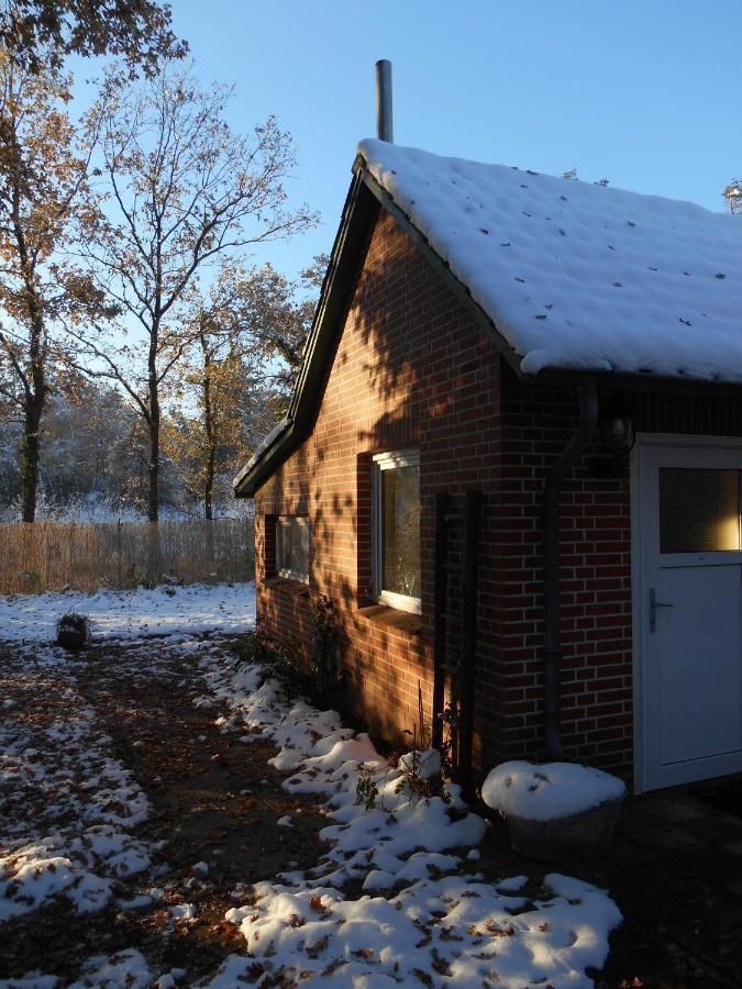 Ferienwohnung Villa Luett Bleckede Bagian luar foto